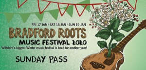 Bradford Roots Music Festival
