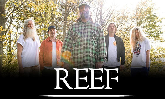 News: Reef Announce UK Headline Tour This Autumn