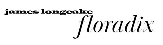 Single: “Floradix” by James Longcake